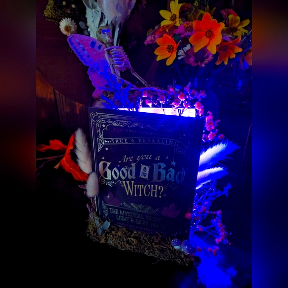 Glowing Fairy Book - Picture 2 of 2